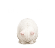843820069