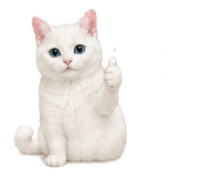 843820070