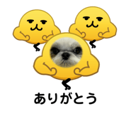 843820115