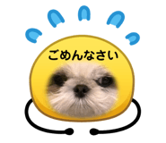 843820118