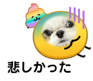 843820126