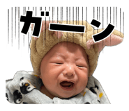 843820260