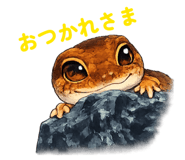 843820476