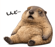 843821786