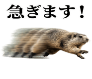 843821787