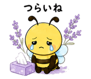 843822067