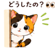 843822775
