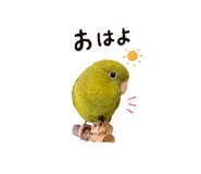 843823465