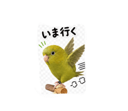 843823470