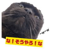 843823506