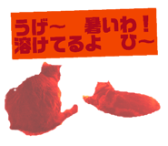 843823509