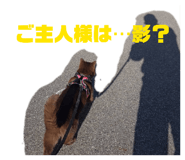 843823510