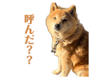 843823620