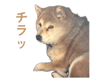 843823622