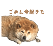 843823628