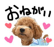 843823700