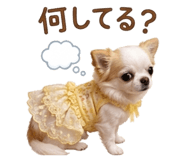 843823796