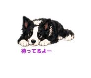 843824143