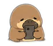 843824840