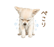 843824844