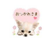 843824846