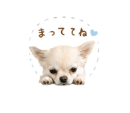 843824851