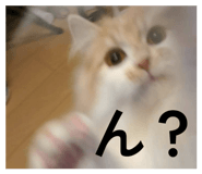 843825353
