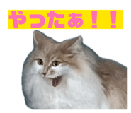 843825355