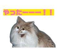 843825357
