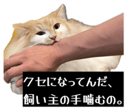 843825358