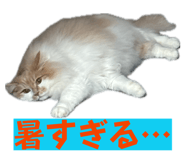 843825366