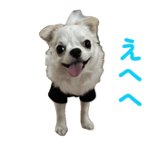 843825741