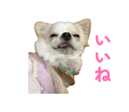 843825742