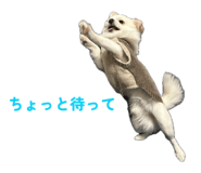843825750