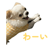 843825753
