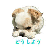 843825754