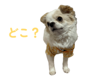 843825758