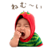 843826462