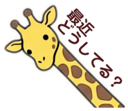 843826498