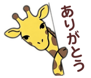 843826507