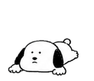 843836294