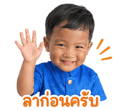 843836517