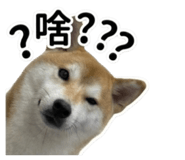 843837189
