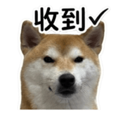 843837191