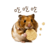 843837260