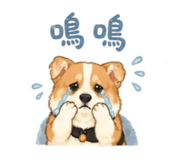 843837317