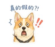 843837322