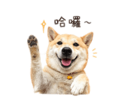 843837393