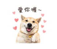 843837395