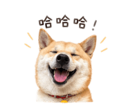 843837397